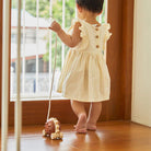 PLAN TOYS Pull-Along Hedgehog Brown