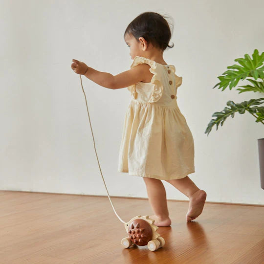 PLAN TOYS Pull-Along Hedgehog Brown