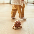 PLAN TOYS Pull-Along Hedgehog Brown