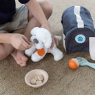 PLAN TOYS Pet Care Set