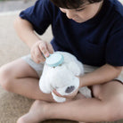 PLAN TOYS Pet Care Set