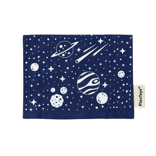 PLAN TOYS Guess My Planet