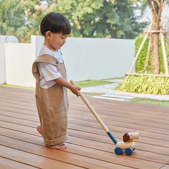 PLAN TOYS Push & Pull Puppy