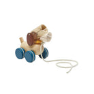 PLAN TOYS Push & Pull Puppy