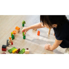 PLAN TOYS Countryside Blocks
