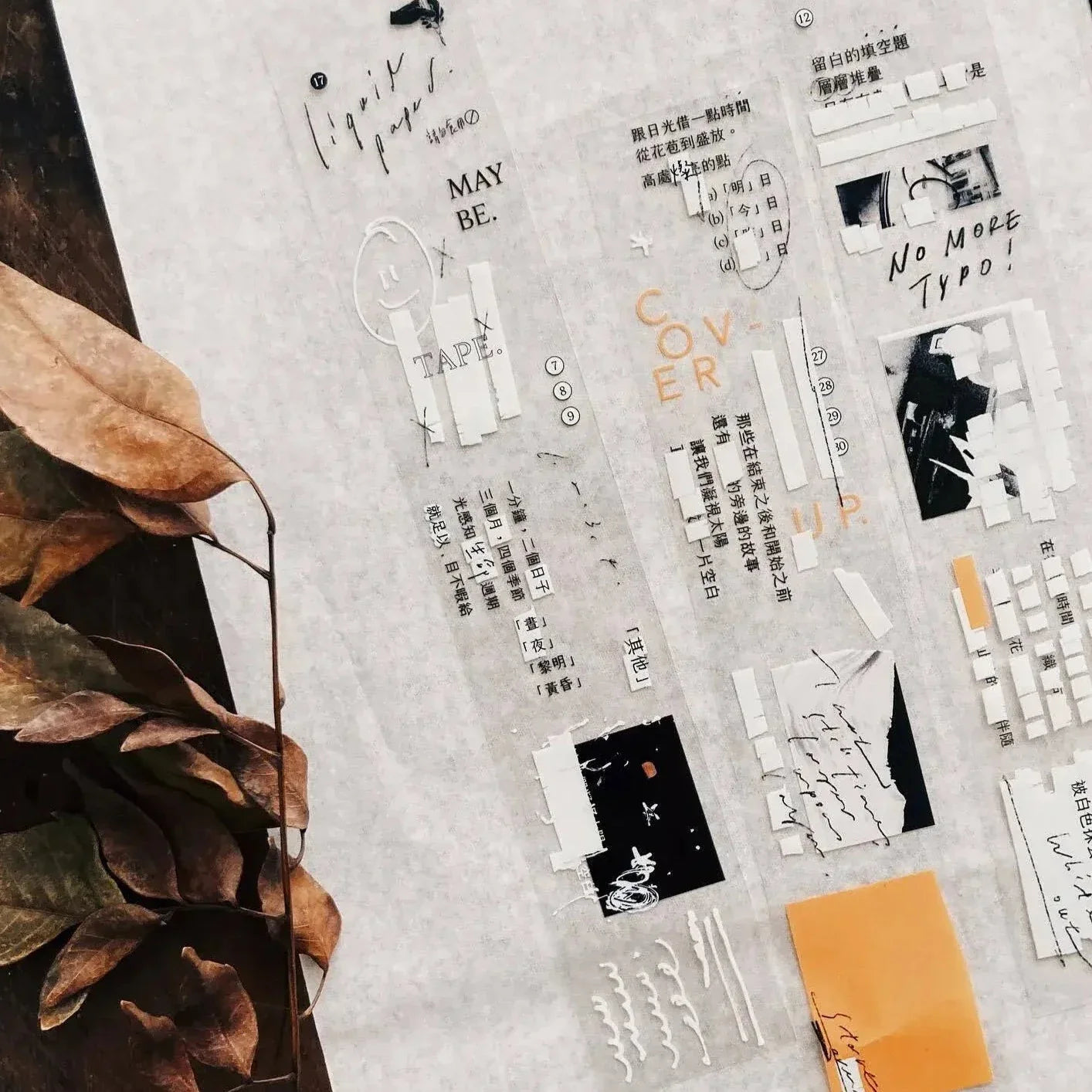 SOMESORTOF.FERN PET Tape | Correction Tape Full Roll (10m)