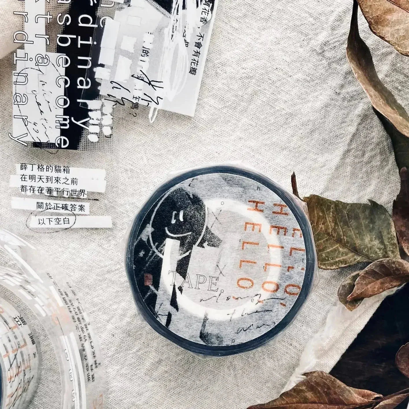 SOMESORTOF.FERN PET Tape | Correction Tape Full Roll (10m)