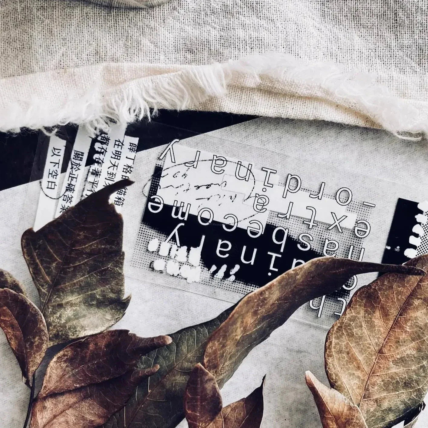 SOMESORTOF.FERN PET Tape | Correction Tape Full Roll (10m)