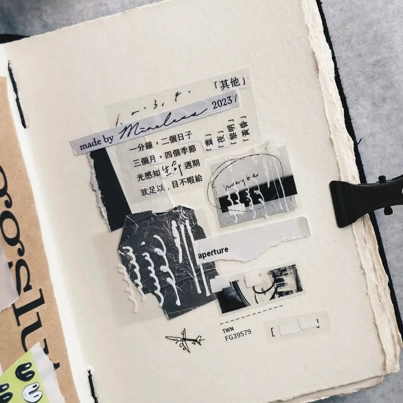 SOMESORTOF.FERN PET Tape | Correction Tape Full Roll (10m)