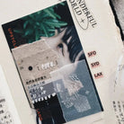 SOMESORTOF.FERN PET Tape | Correction Tape Full Roll (10m)