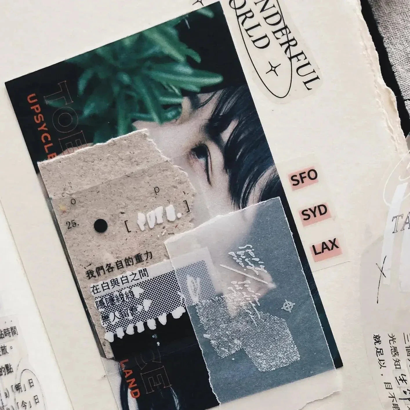 SOMESORTOF.FERN PET Tape | Correction Tape Full Roll (10m)