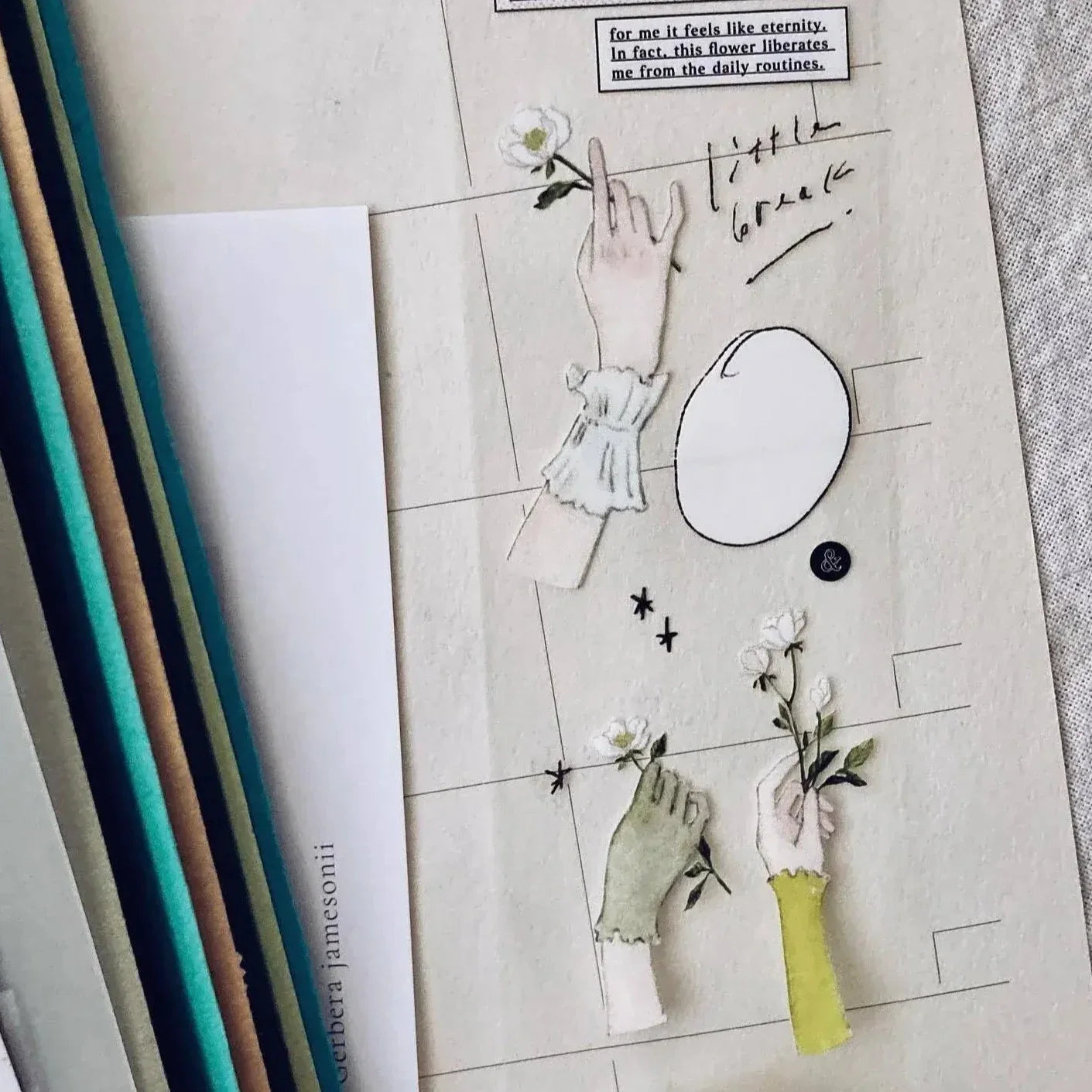 SOMESORTOF.FERN PET Tape | Bird Of Paradise Full Roll (10m)