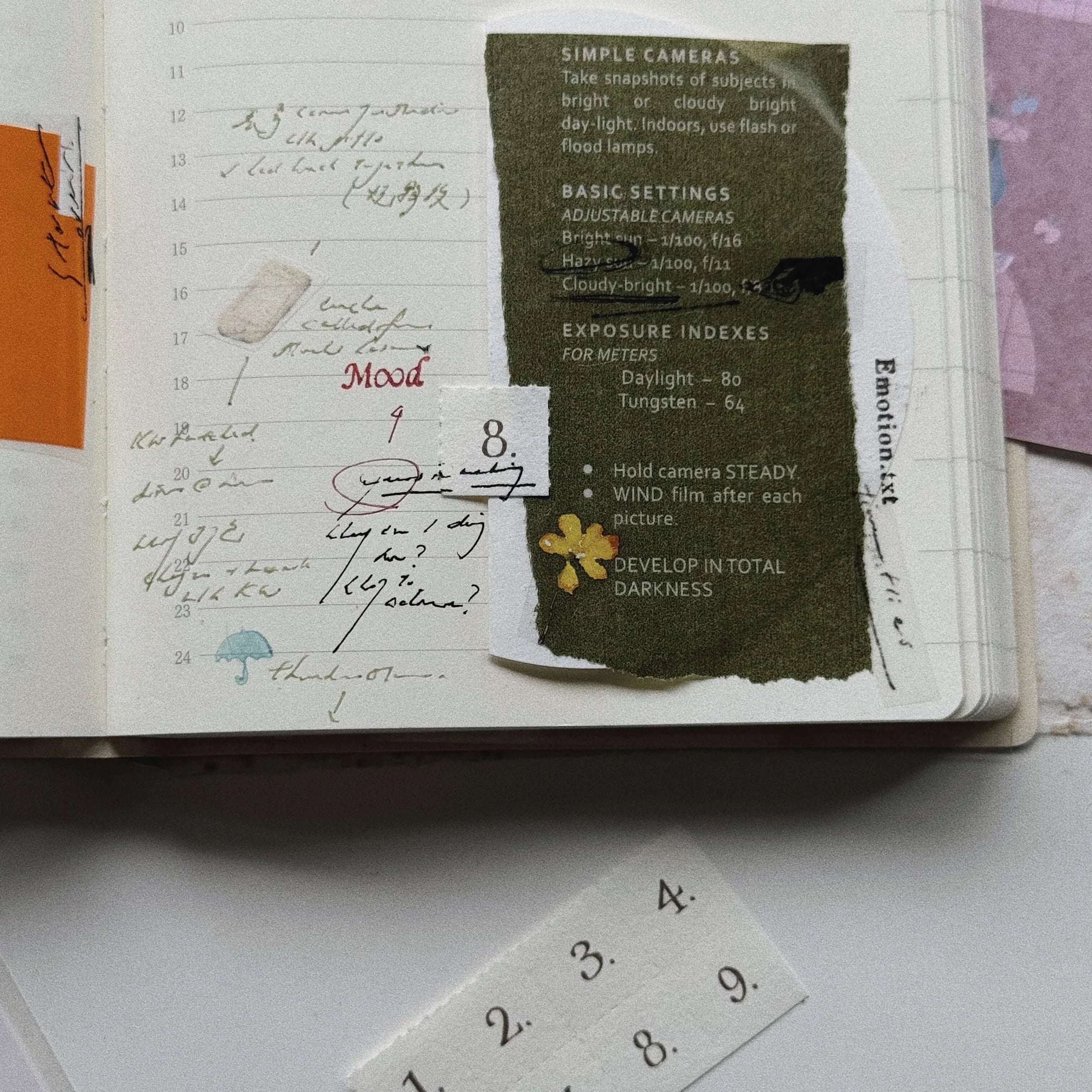 SOM STUDIO 120 Film Backing Paper Washi Tape Green Full Roll (10m)