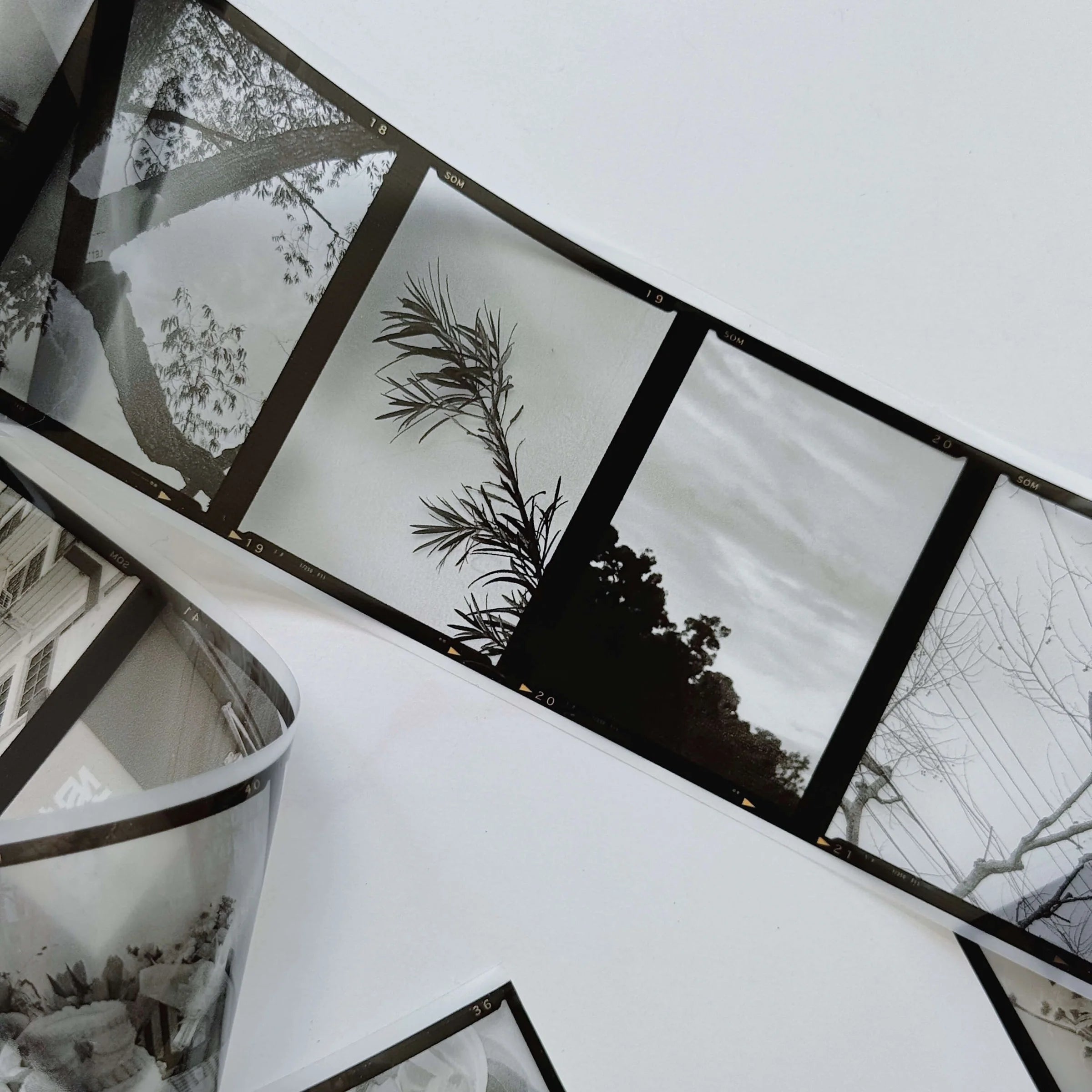 SOM STUDIO 120 B&W Film PET Tape Full Roll (10m)