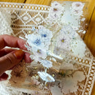 SOM x Loi Design PET Tape | Roses In The Morning Light Full Roll (5m)