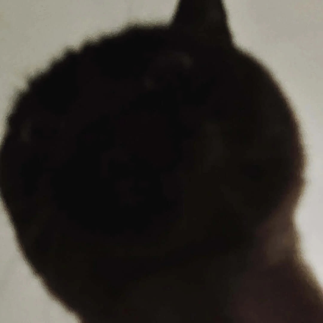 SOM x somesortof.fern Rubber Stamp Set and here, and there (2pcs)