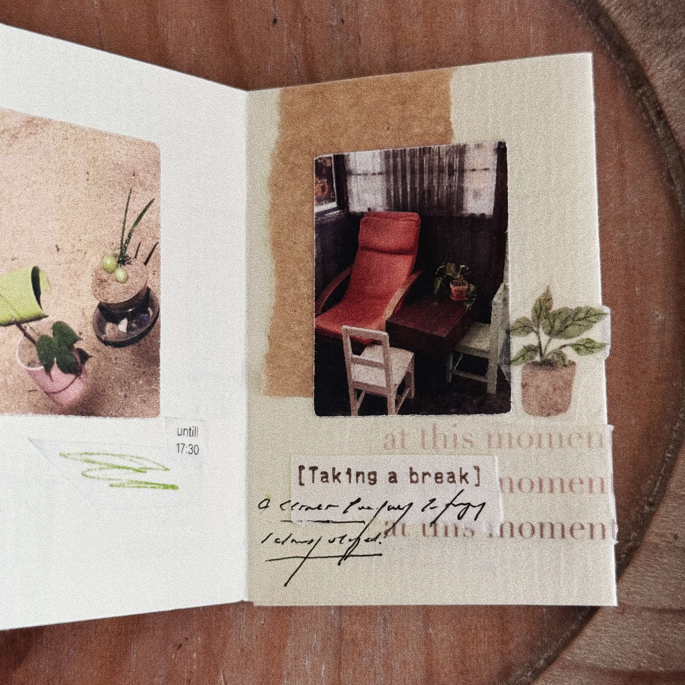 SOM x zagne.zip Sticker Set In Case