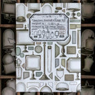 LCN Sticker Set Specimen Display