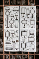 LCN Sticker Set Specimen Display