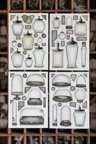 LCN Sticker Set Specimen Display