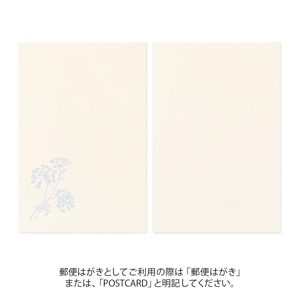 MIDORI Postcard Set of 5 Hanairo Washi