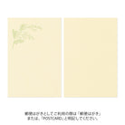 MIDORI Postcard Set of 5 Hanairo Washi