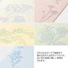MIDORI Postcard Set of 5 Hanairo Washi