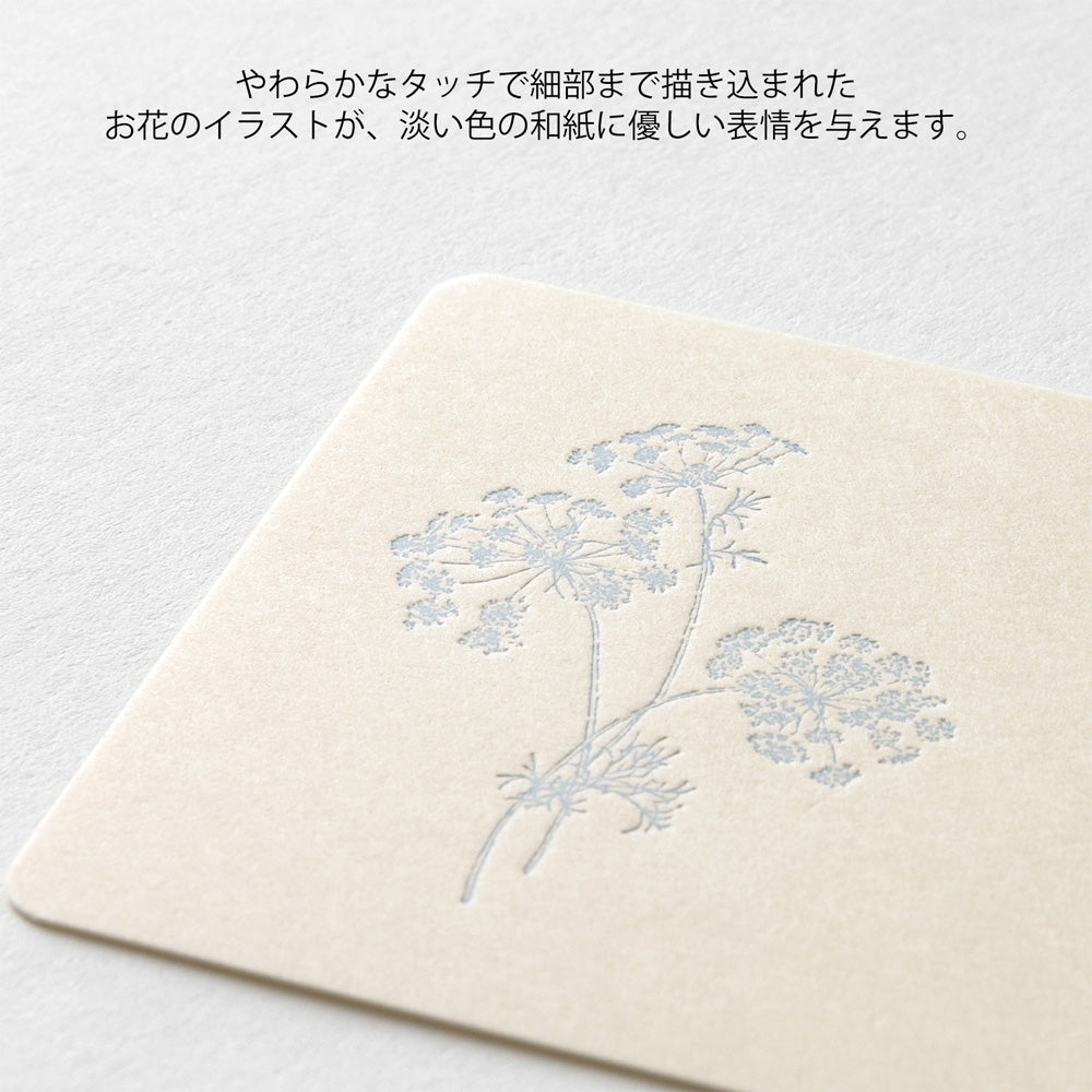 MIDORI Card Set Hanairo Washi White