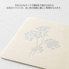 MIDORI Card Set Hanairo Washi White