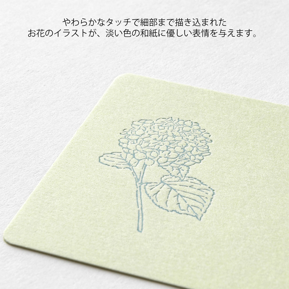 MIDORI Card Set Hanairo Washi Green