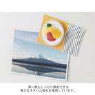 MIDORI Miniature Magnet Omelet Rice