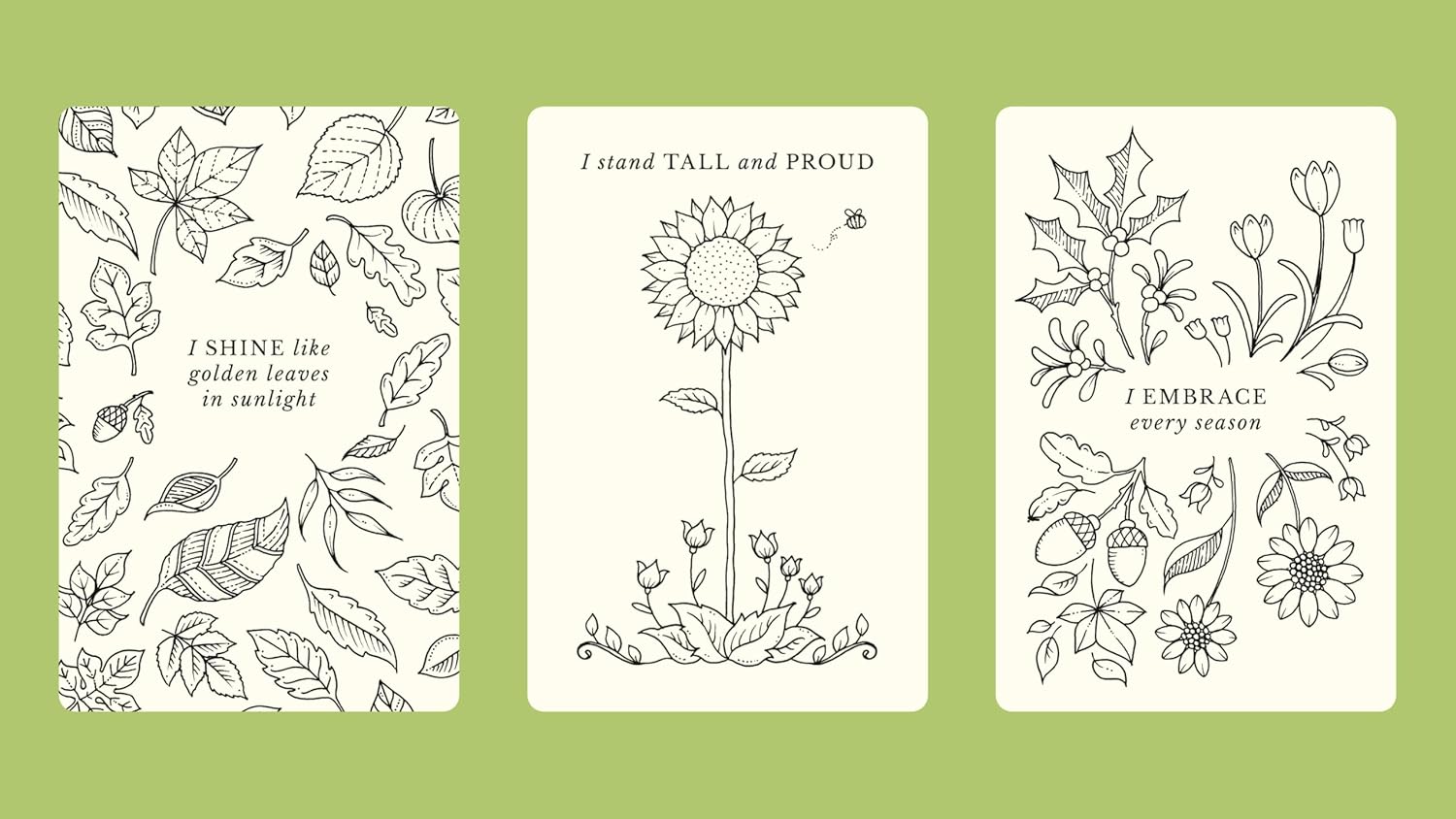 Johanna Basford's Notes From Nature by Johanna Basford