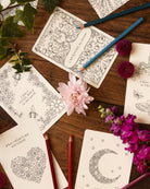 Johanna Basford's Notes From Nature by Johanna Basford