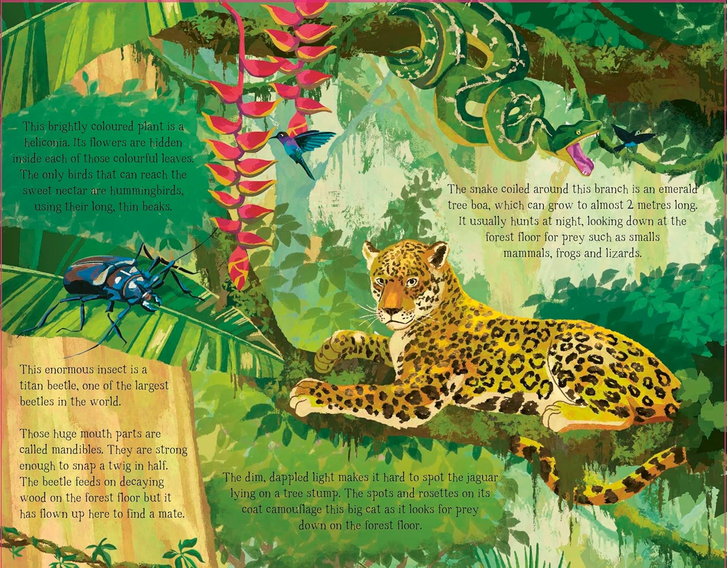 The Forest That Grows Around Me by Charlotte Guillain