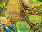 The Forest That Grows Around Me by Charlotte Guillain
