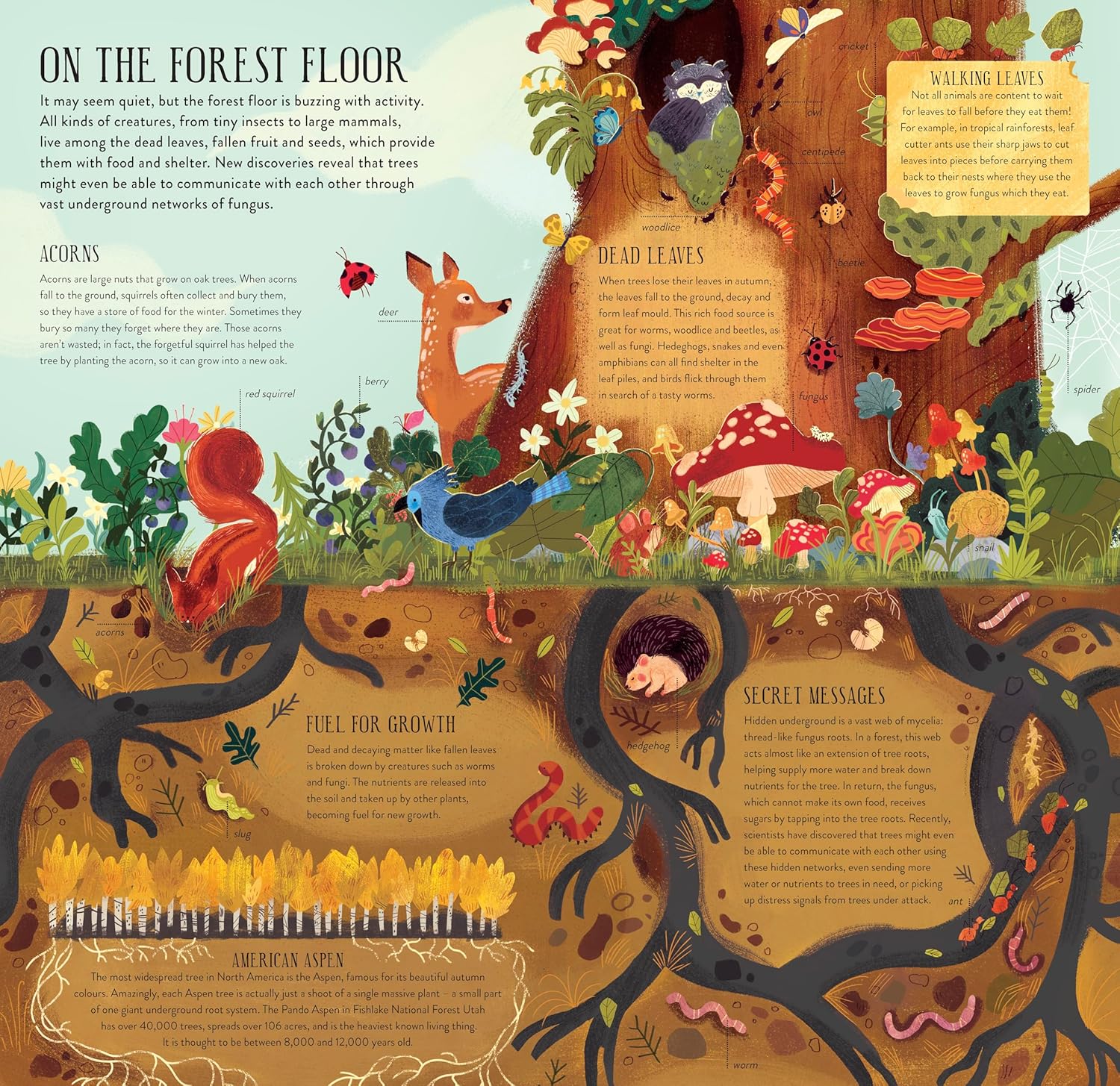 Make And Play: Build A Tree by Philippa Forrester