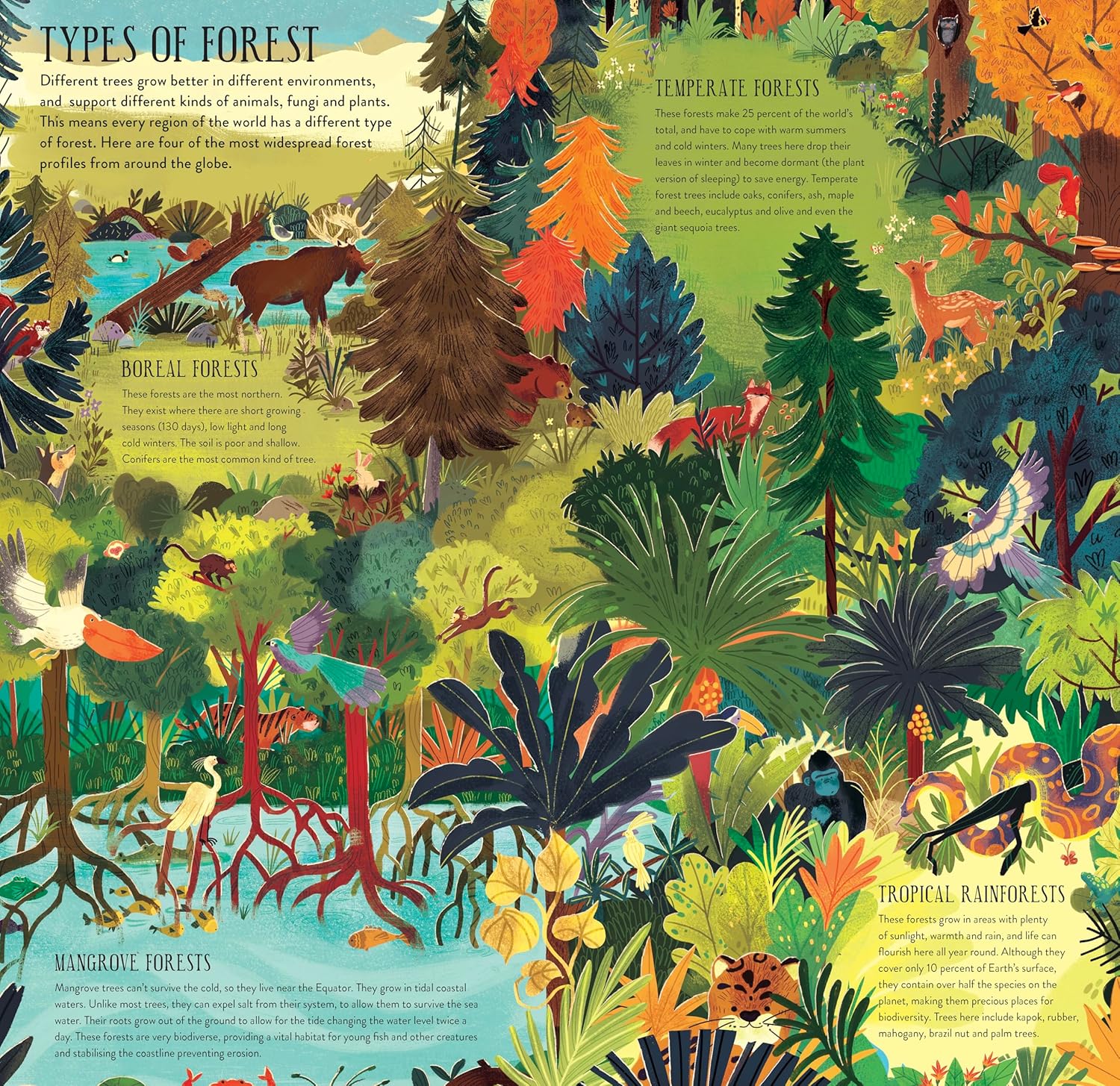 Make And Play: Build A Tree by Philippa Forrester