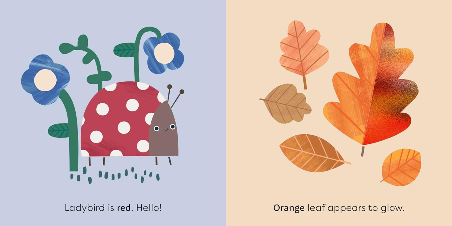 Minitouch: Nature (Board Book)