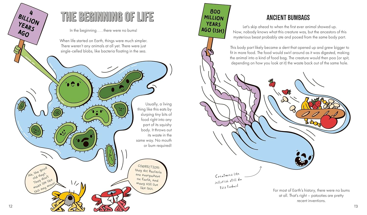 A Natural History Of Bums