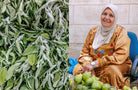 Bethlehem: A Celebration Of Palestinian Food by Kattan Fadi
