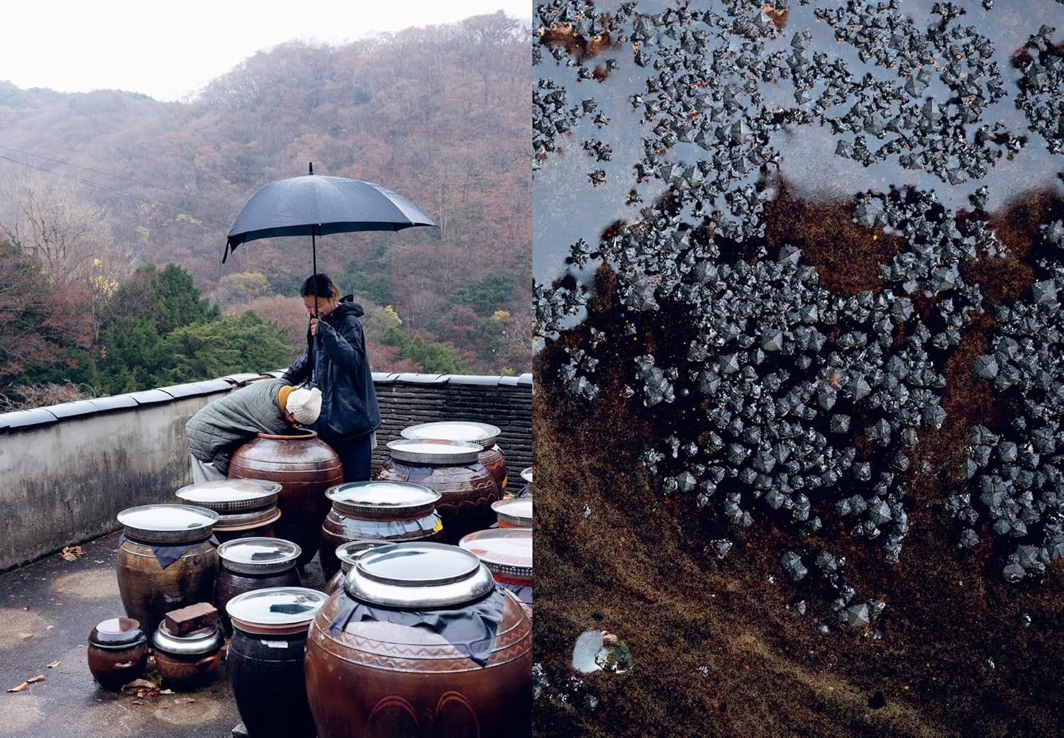 Korean Temple Cooking by Seelmann Hoo Nam
