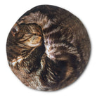 SUCK UK Cat Hot Water Bottle