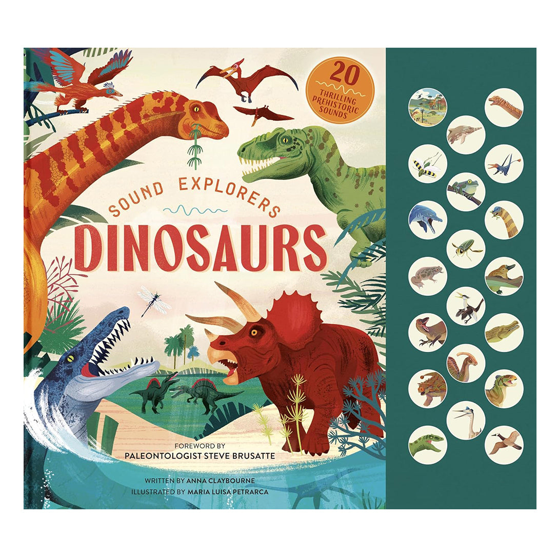 Sound Explorers: Dinosaurs by Anna Claybourne