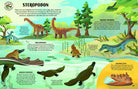 Sound Explorers: Dinosaurs by Anna Claybourne