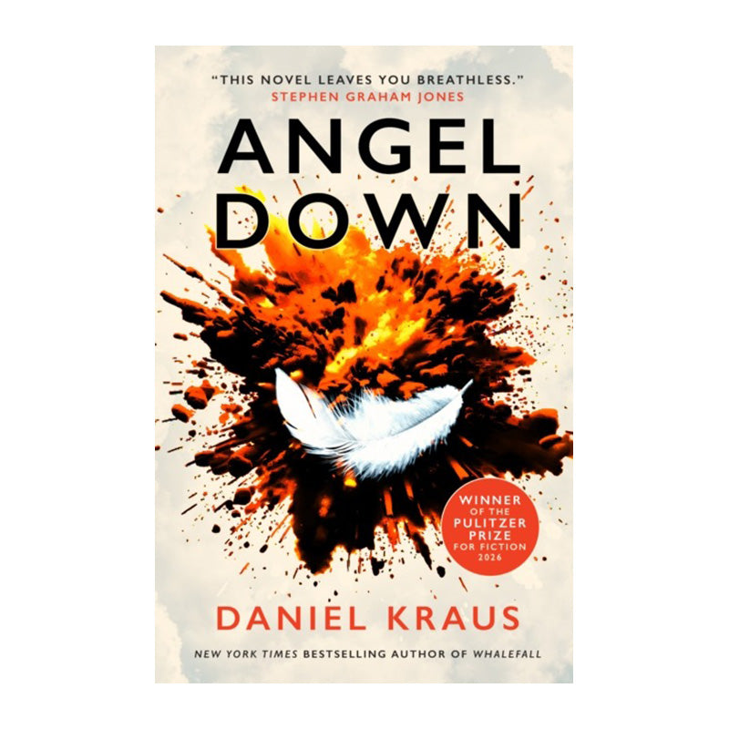 Angel Down by Daniel Kraus