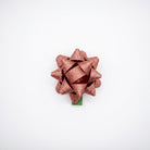 JIPPURI Matte Glitter Bow 2" Coral