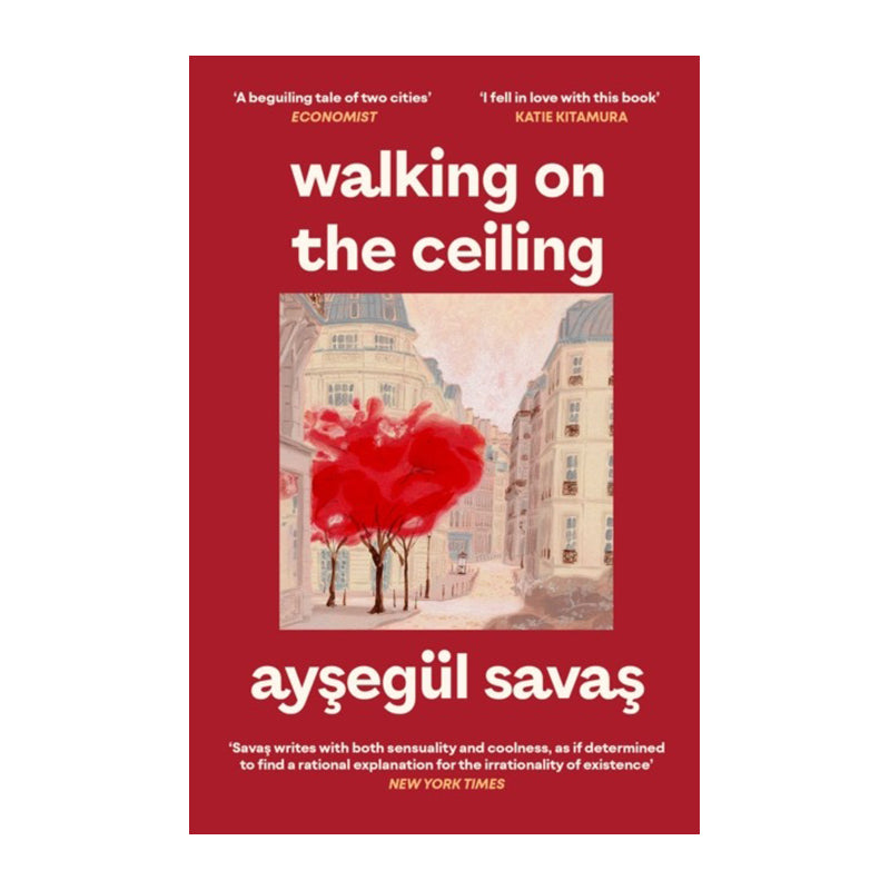 Walking on the Ceiling by Aysegül Savas