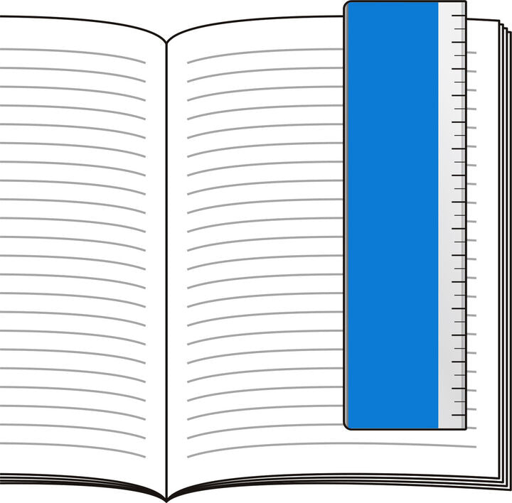KOKUYO Campus Memorizaiton Ruler Blue