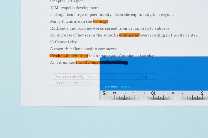 KOKUYO Campus Memorizaiton Ruler Blue