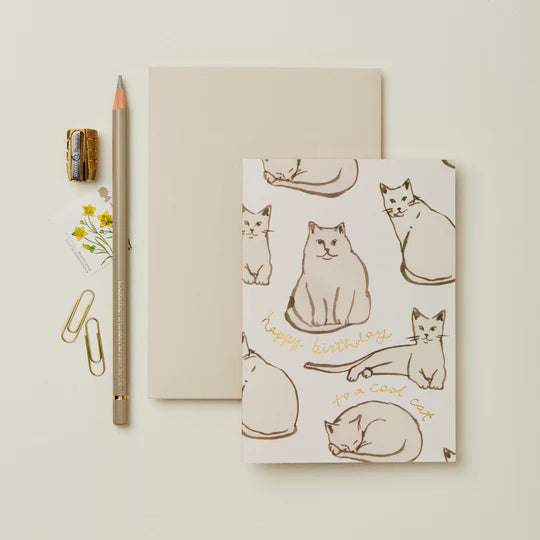 WANDERLUST PAPER CO Greeting Card Feline Happy Birthday To A Cool Cat